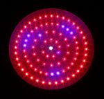 90w LED Sump Light